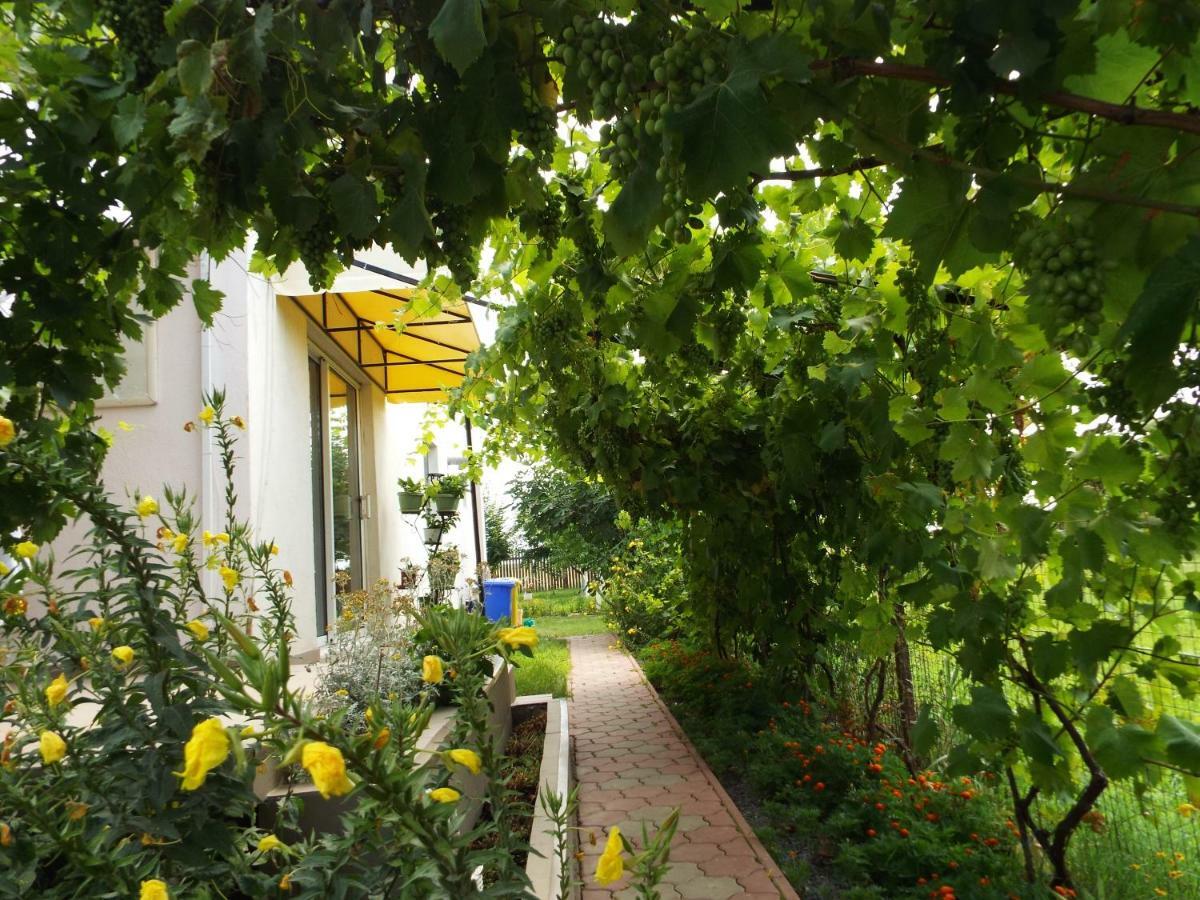 Casa Dany Hotel Корбу Екстериор снимка
